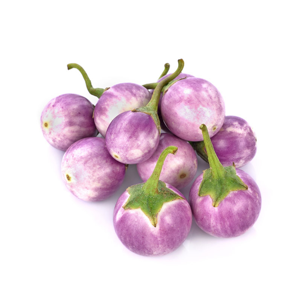 Eggplant Baby White