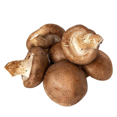 Mushroom Shitake 100g