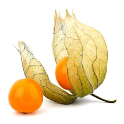 Physalis 100g