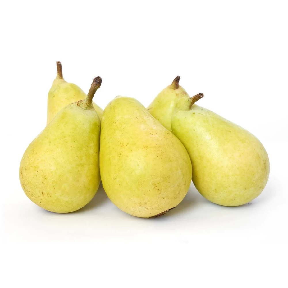 Pears Coscia