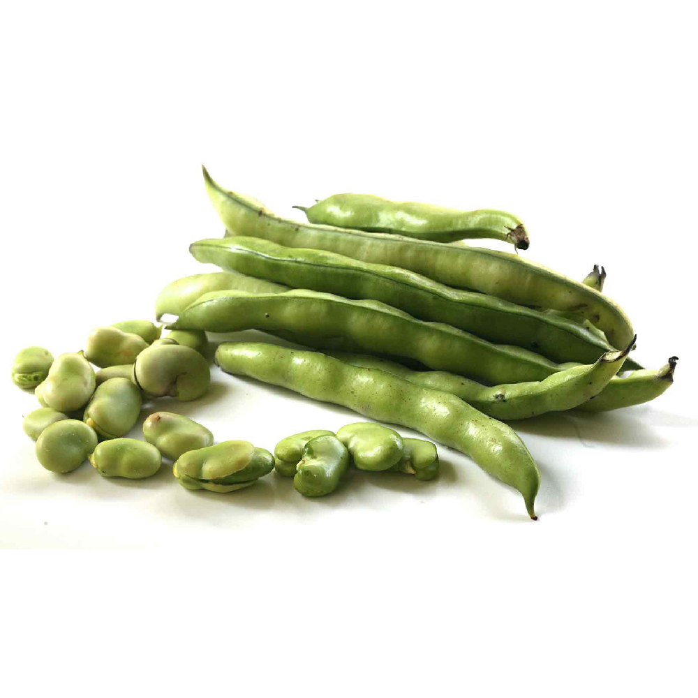 Broad Beans