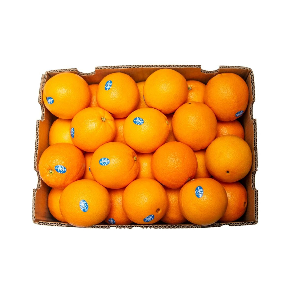 Orange Valencia
